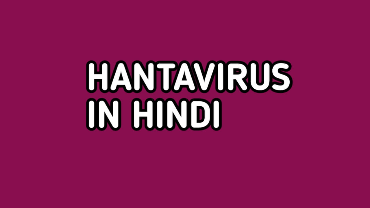 Hantavirus in hindi