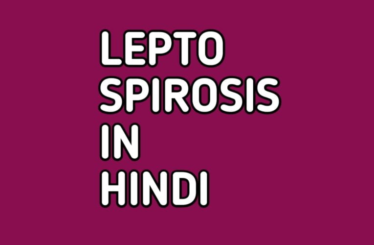 Leptospirosis in hindi