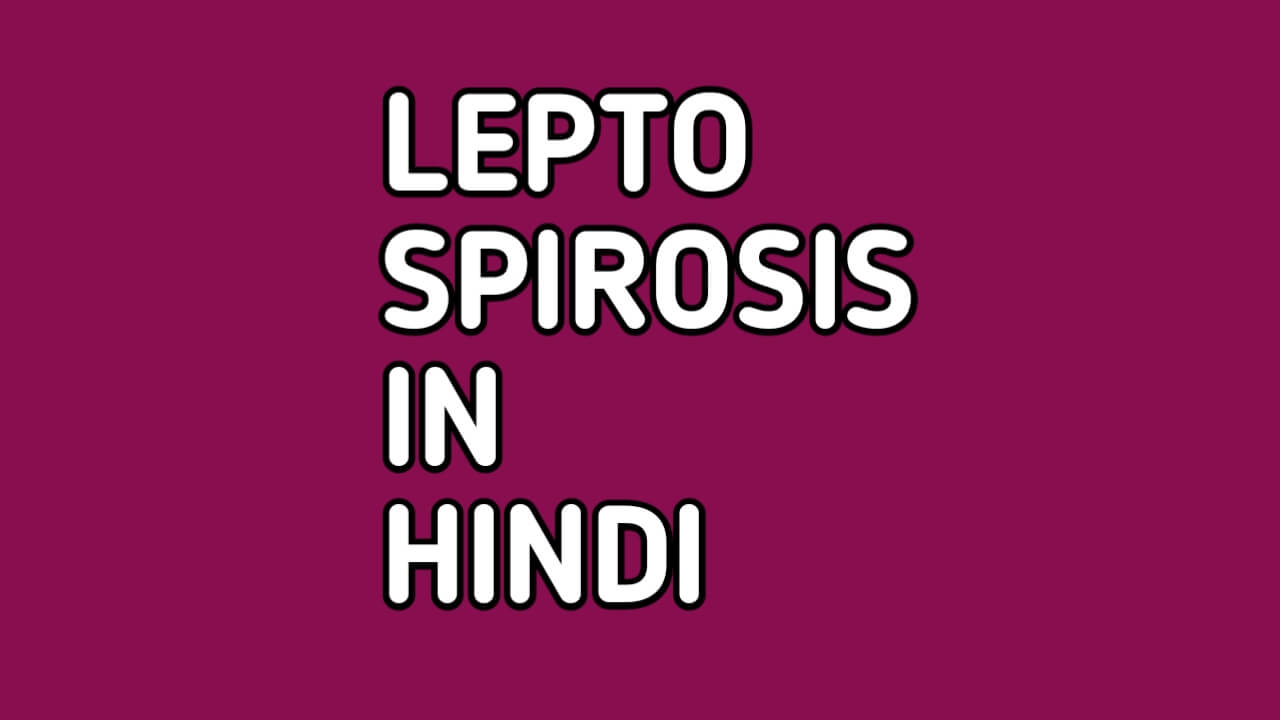 Leptospirosis in hindi