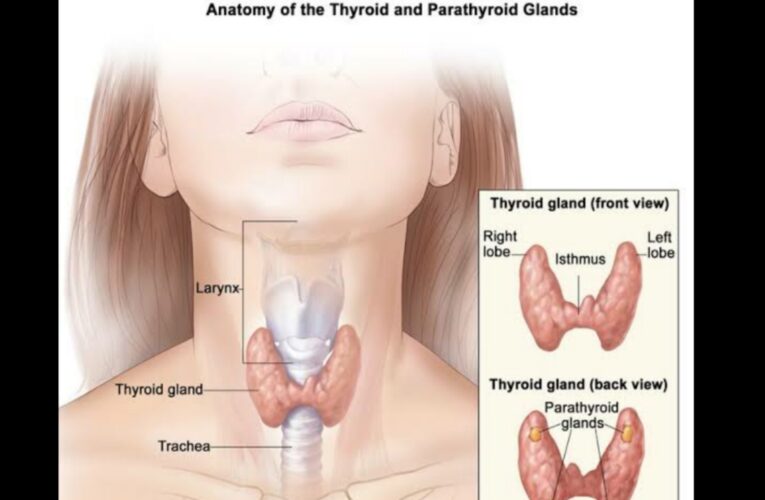 Hyperthyroidism in hindi