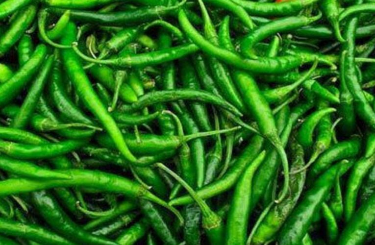 11 Green chilli benefits in hindi that you don’t believe