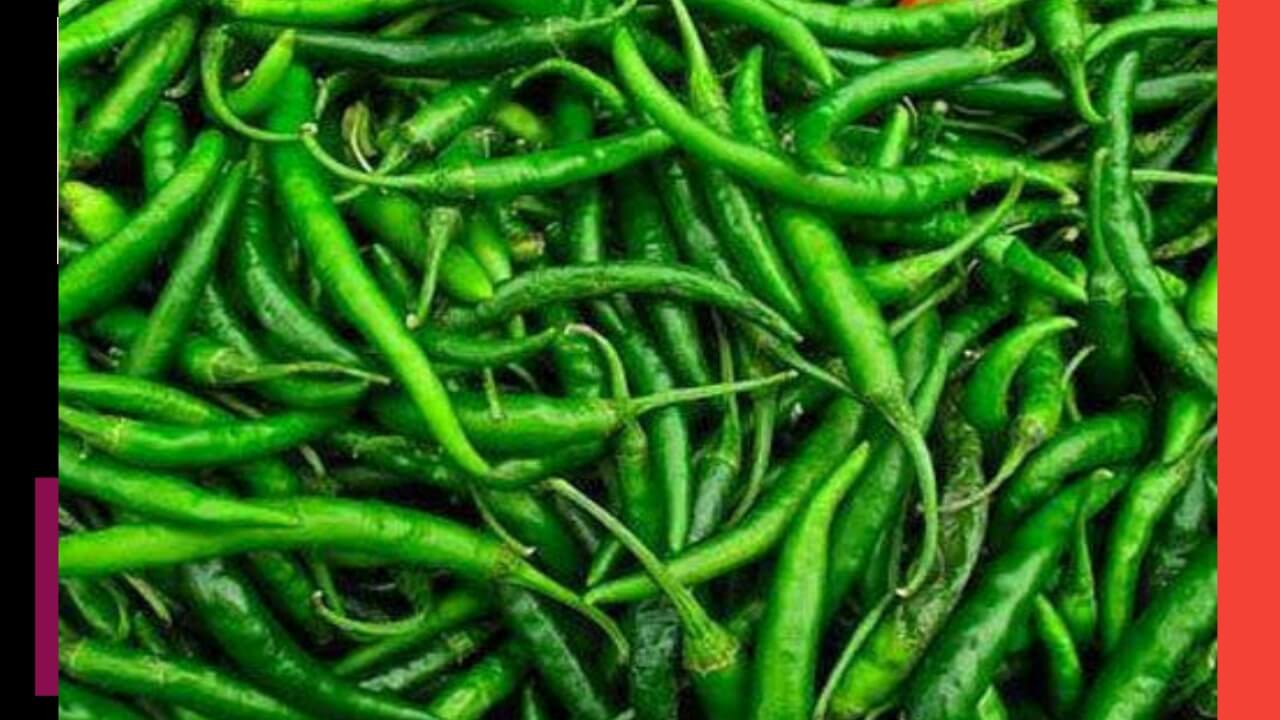 Green chilli benefits in hindi